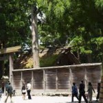 熱田神宮の初詣で混雑する時間帯。元旦、2日、3日の状況