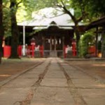 大宮氷川神社の初詣。 混雑状況、空いてる時間帯は？