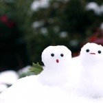 八戸えんぶり2015年の日程。みちのく五大雪まつりとは？