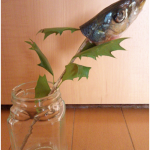 節分に飾る鰯の頭はいつまで？いわしの由来や飾り方は？