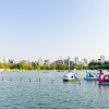 上野公園の桜2015開花予想。いつ満開？お花見はいつまでOK？