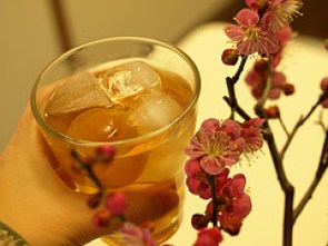 箕郷梅林みさと梅まつりは毎年多くの観光客でにぎわいます。
