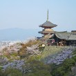 kiyomizudera25